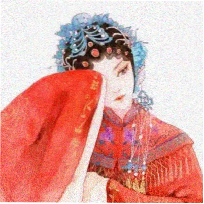 读者木白的头像